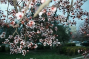 Фотовыставка работ старшего преподавателя кафедры гуманитарных и естественнонаучных дисциплин Ризахановой Р.М.