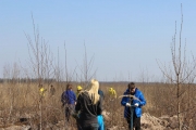Студенты Университета приняли участие в лесовосстановительных работах