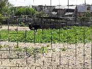 23 мая студенты-активисты посетили Пензенский зоопарк
