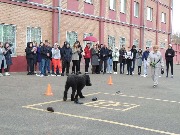 Показательные выступления по одорологической экспертизе