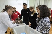 Областной семинар-практикум «Развитие волонтерского движения в рамках дополнительного образования в системе среднего профессионального образования»