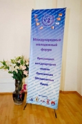 Ярославская международная модель Организации Объединенных Наций 2013