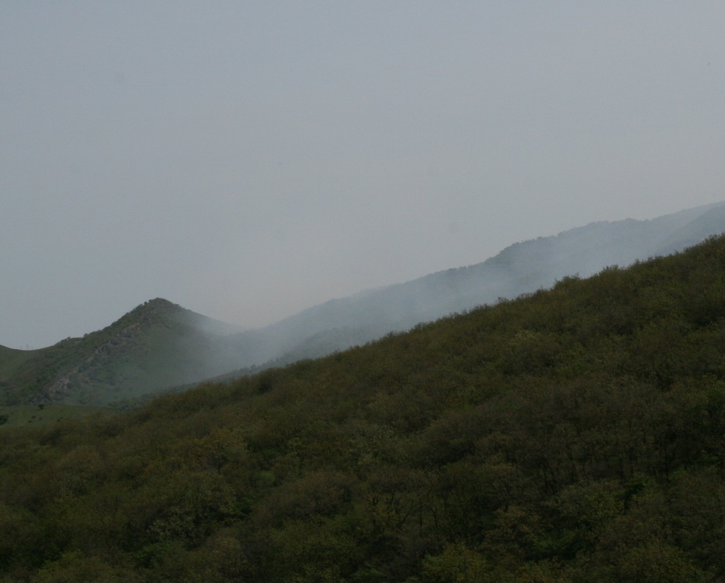 img03