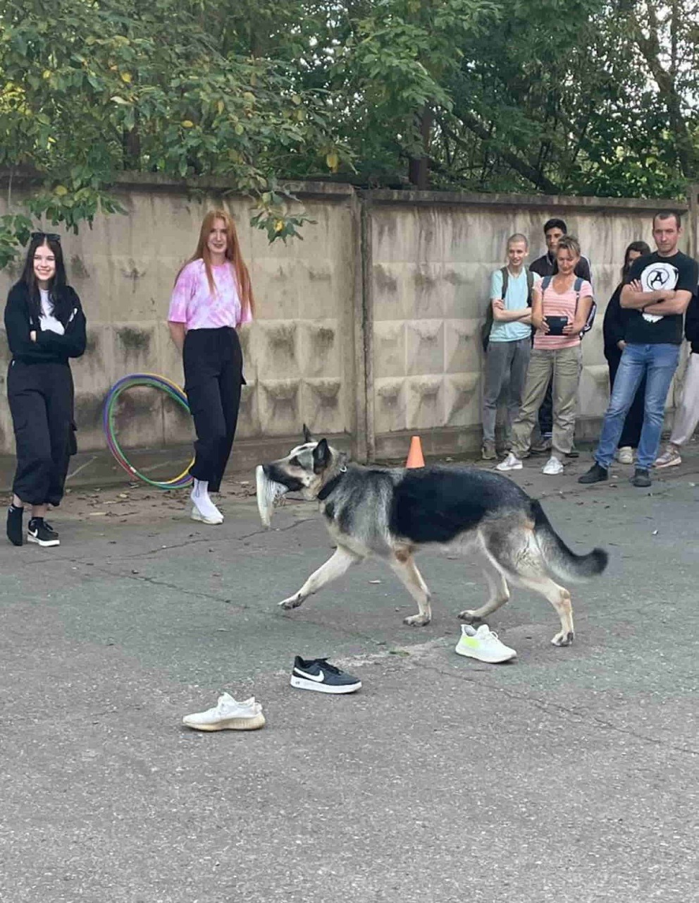 img03