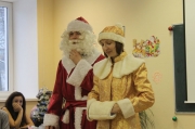Новый год -2013