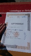 Легкоатлетическая эстафета