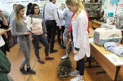 Областной семинар-практикум «Развитие волонтерского движения в рамках дополнительного образования в системе среднего профессионального образования»