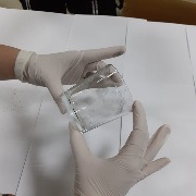 Занятия по криминалистике