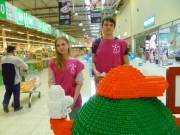  В Рязанской области прошла социально значимая акция «Добровольцы-детям»